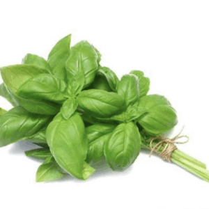 Albahaca