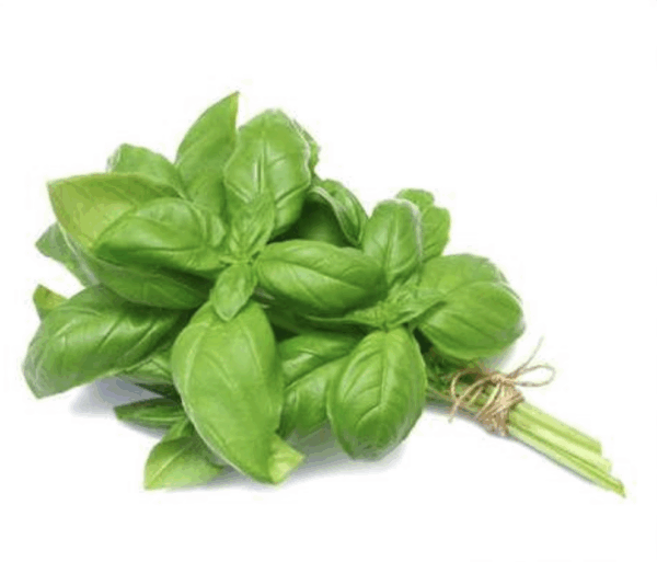 Albahaca