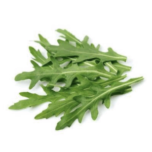 Arúgula