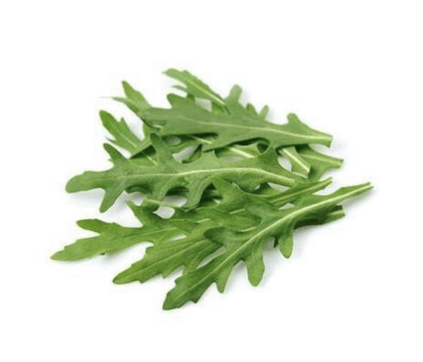 Arúgula
