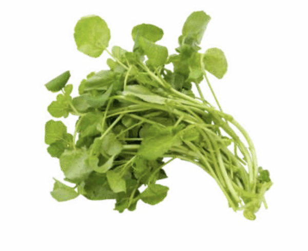 Berros