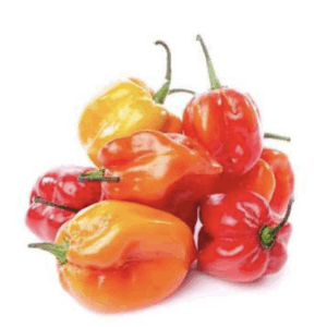 Chile panameño