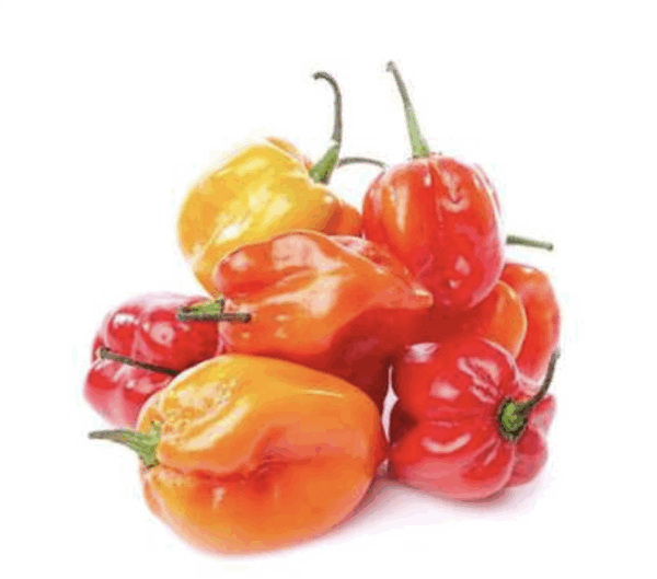 Chile panameño