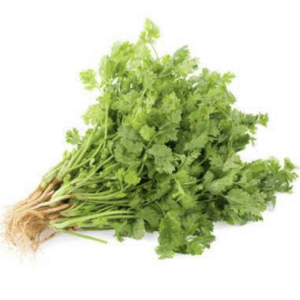 Culantro