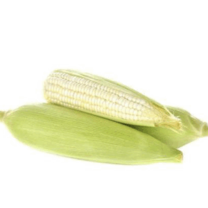 Elote blanco tuza