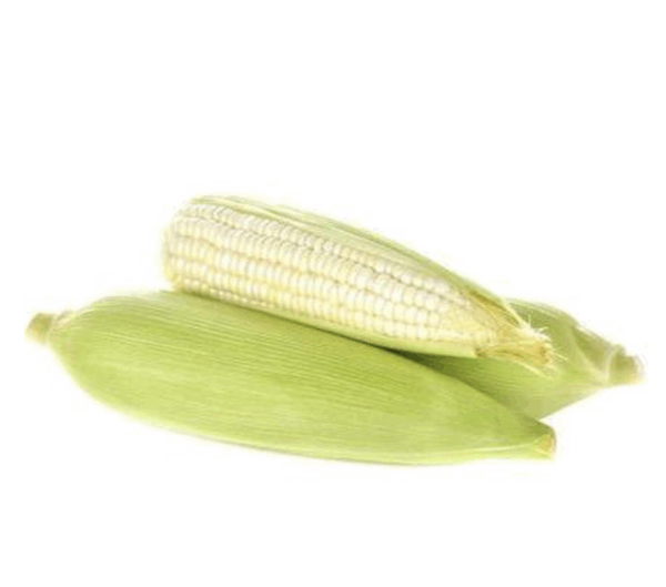 Elote blanco tuza
