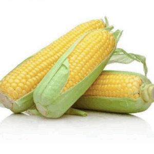Elote dulce