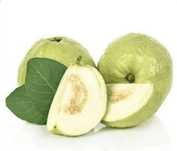 Guayaba china