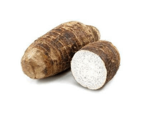 Malanga