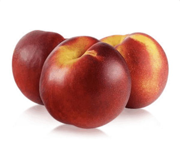 Nectarina