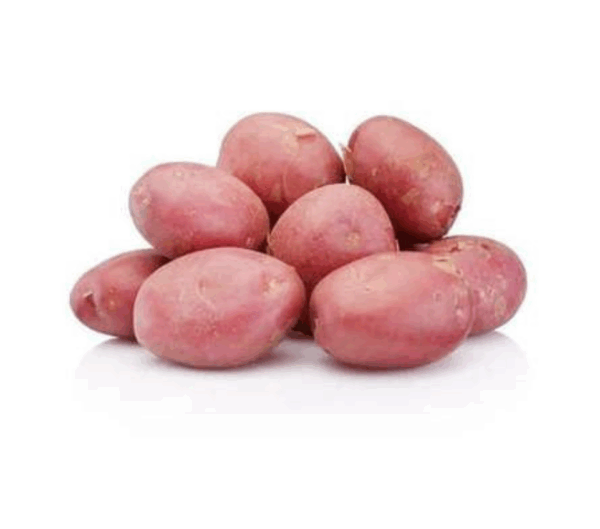 Papa morada