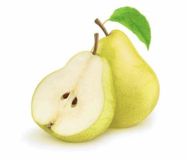 Pera D'anjou