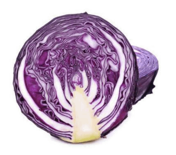 Repollo morado