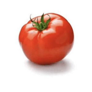 Tomate primera