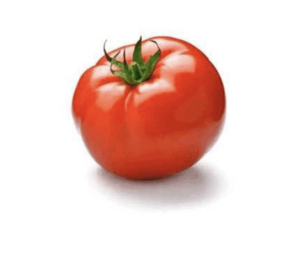 Tomate primera