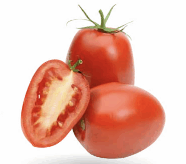 Tomate roma