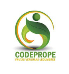 codeprope-logo